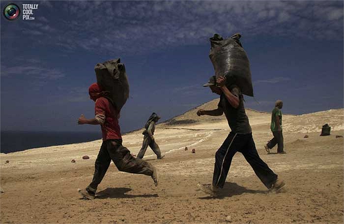 Một vài người khác đang vội vã vận chuyển những bao tải đã đầy về khu vực tập kết trên hòn đảo.