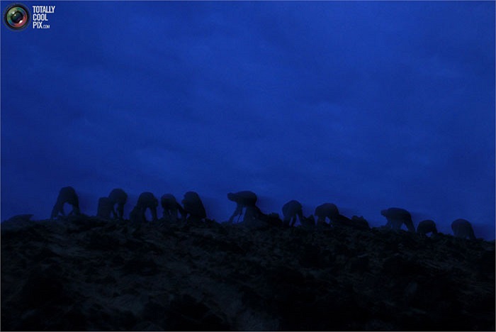 Vào thế kỷ 19, phân chim ở Peru từng được xuất khẩu sang tận Mỹ, Anh và Pháp, trở thành một nguồn tài nguyên quan trọng của địa phương.