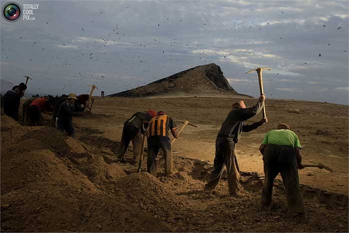 Việc thu nhặt phân chim trên đảo chủ yếu do người dân địa phương thực hiện bằng các phương pháp thủ công.