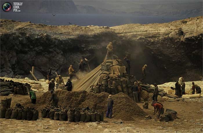 Họ sử dụng cuốc xẻng và chổi để thu gom lớp phần dày mà lũ chim để lại trên nền hòn đảo trơ trọi rồi đóng bao để vận chuyển vào đất liền.