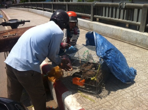 Không sợ 'tử thần', phố Sài Gòn vẫn tràn ngập 'ổ bệnh'