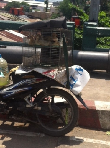 Không sợ 'tử thần', phố Sài Gòn vẫn tràn ngập 'ổ bệnh'