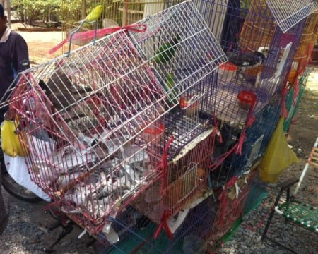 Không sợ 'tử thần', phố Sài Gòn vẫn tràn ngập 'ổ bệnh'