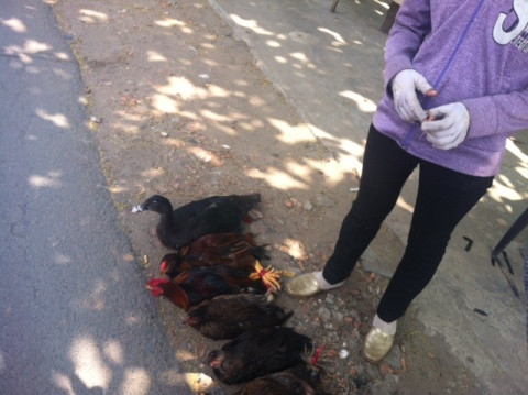 Không sợ 'tử thần', phố Sài Gòn vẫn tràn ngập 'ổ bệnh'