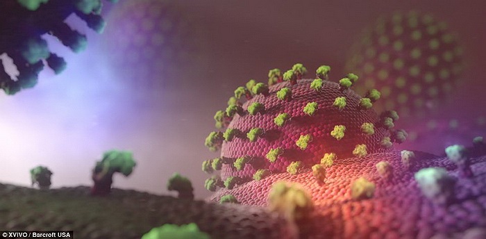 Cận cảnh của một loại virus có tên bleb, loại virus này góp phần quan trọng trong quá trình phân chia tế bào