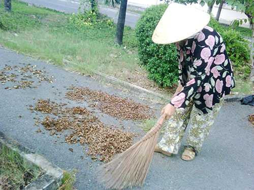 Bà Nguyễn Thị Ngọc Tuyết