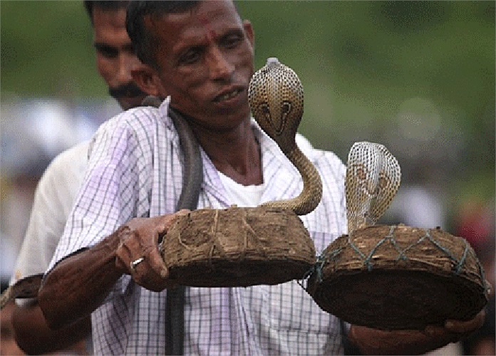 Esta es la tribu considerada la más amante de las serpientes del mundo, pues durante muchas generaciones han convivido con serpientes venenosas.