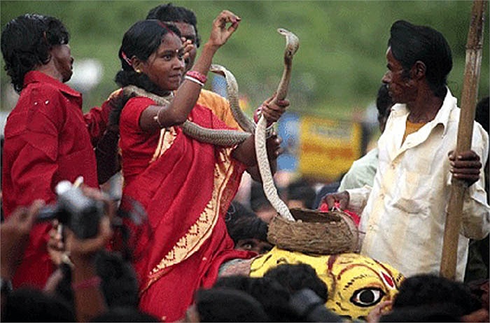 As toddlers, Vadi children are introduced to snakes. They eat, sleep, and play with venomous snakes.