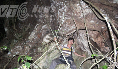 nghiến khổng lồ