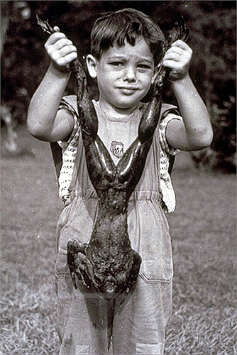 Còn những chú ếch đực khổng lồ Goliath không biết kêu la gì, nên việc thu hút bạn tình của chúng vẫn còn là bí ẩn với các nhà khoa học. 