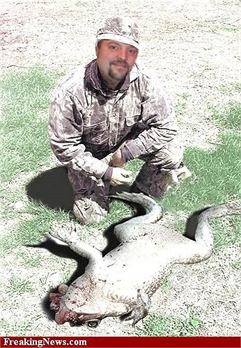 Chúng rất dễ dàng bị chết và tuổi thọ dài nhất trong môi trường bán tự nhiên chỉ là 5 năm.Tuy nhiên, ở môi trường tự nhiên, Goliath có thể sống tới 15 năm.