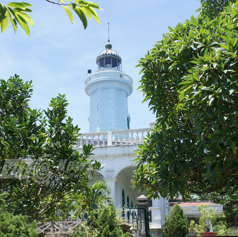 đảo Dấu, Đồ Sơn, rừng đa búp đỏ, Hải Phòng, Nam Hải Thần Vương