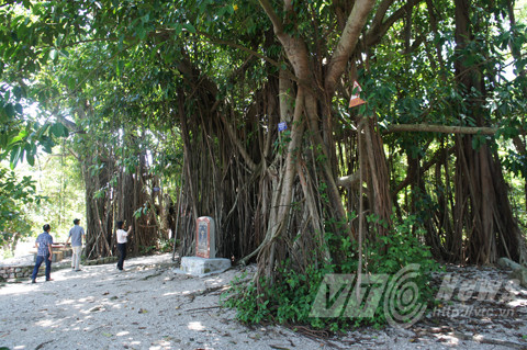 đảo Dấu, Đồ Sơn, rừng đa búp đỏ, Hải Phòng, Nam Hải Thần Vương