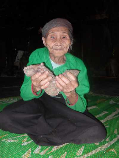 kỳ hoa dị thảo