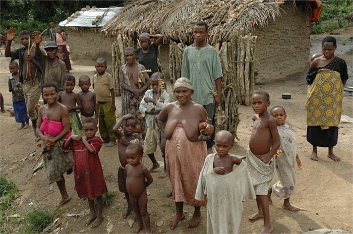 Những người Pygmy sống thành nhóm khoảng trên dưới 10 hộ gia đình như những bộ tộc nhỏ riêng lẻ. Nhà của tộc trưởng và người già ở giữa, vây xung quanh là nhà của thành viên trẻ.