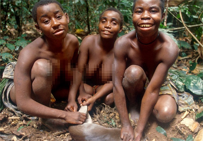 Tộc người Pygmy trưởng thành rất sớm, được xếp vào kỷ lục thế giới.