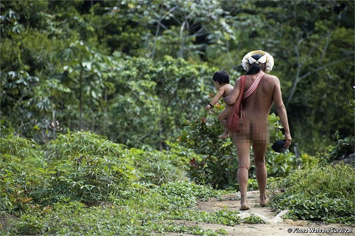Người Zo’e rất dân chủ. Họ không có tộc trưởng, hay người lãnh đạo. Tuy nhiên ý kiến của người đàn ông có uy tín, sức mạnh vẫn được đề cao.