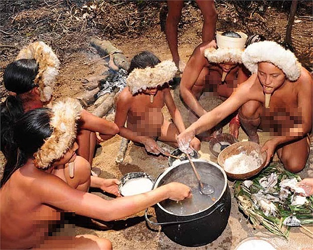 Bộ lạc Zo’é dùng quả hạch Brazil làm thức ăn và họ lấy sợi từ vỏ của chúng làm võng và trang sức.