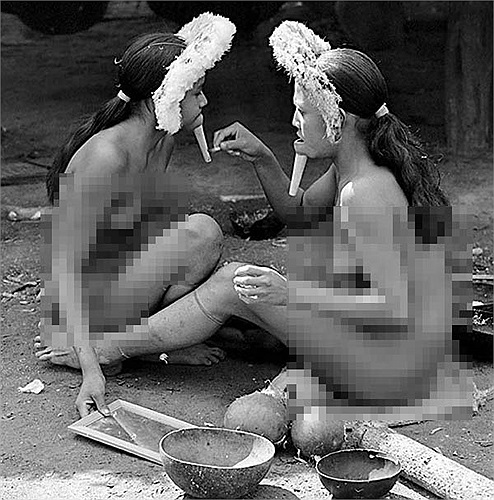 Họ đã bị xâm phạm lãnh thổ, lấn chiếm đất đai bởi các công ty, chính quyền. Vùng đất sinh sống của họ ngày càng bị thu hẹp. 