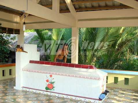 sống chung với người chết