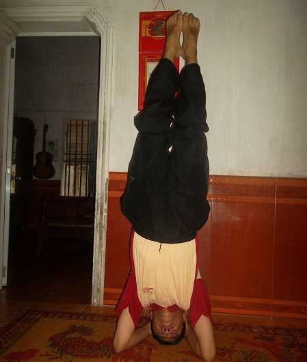 trồng cây chuối