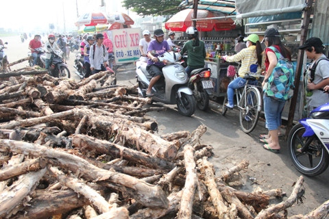 xe chở gỗ, xe tải, lật nhào