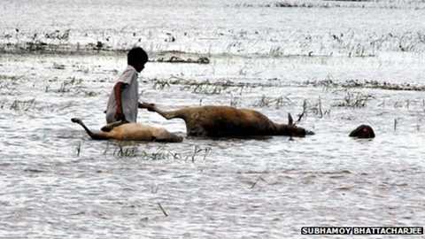 lũ lụt ở Ấn Độ