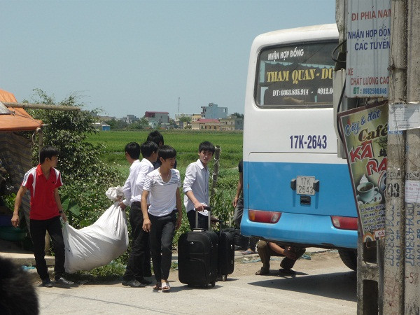 vương quốc bầy đàn