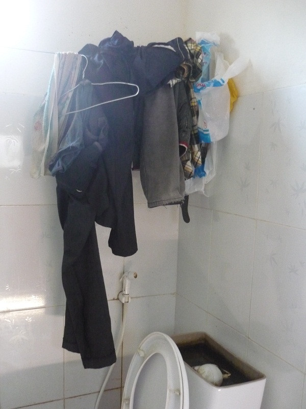 vương quốc bầy đàn