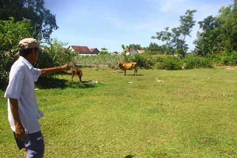 ly kỳ, tượng vàng siva, quảng nam, lao lý