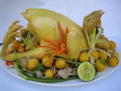 Thai phụ không nên ăn nhiều thịt gà