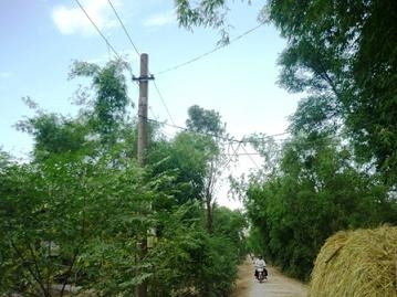 điện yếu, nấu cơm không chín, thạch hưng, hà tĩnh