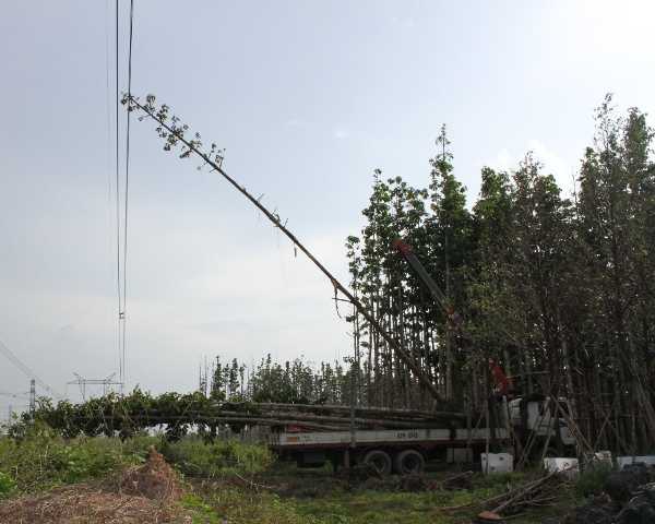 mất điện