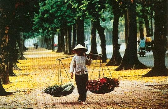 lập thu, miền Bắc, mưa giông, dải hội tụ nhiệt đới, vùng xoáy áp thấp, mưa giông, sạt lở đất