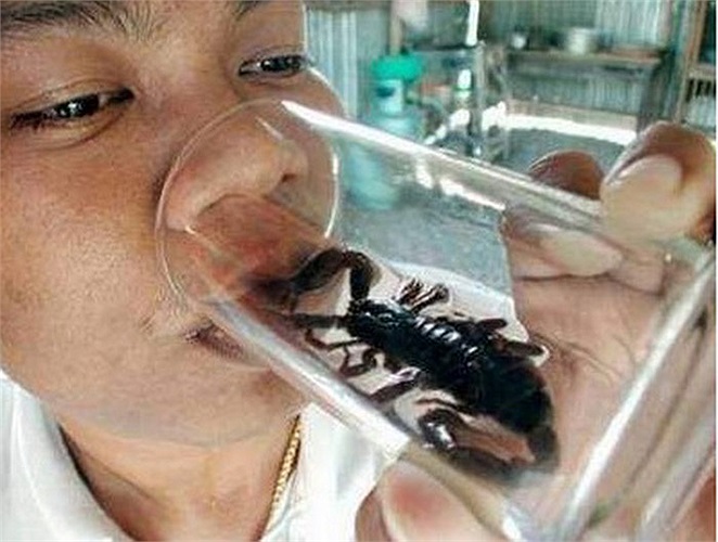 Bọ cạp: Tất nhiên là những con bọ cạp này đã được loại bỏ độc tố trước khi chế biến. Đây được cho là món ăn giàu protein, nhưng không phù hợp với phụ nữ mang thai. Mùi vị của nó cũng khá ngon, giòn, hơi giống mùi vị của cua chiên. 