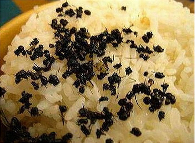 Xôi kiến: Đây là loại kiến được nuôi đặc biệt ở Trung Quốc, nó không giống như các loại kiến thông thường mà chúng ta vẫn thấy. Những con kiến sẽ được rang lên rồi ăn kèm với xôi. Người ta cho rằng, món ăn này bổ cho thận.