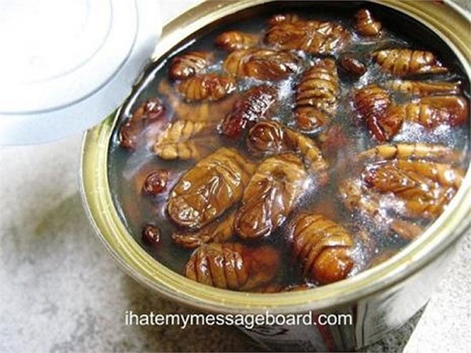 Nhộng tằm: Ở hàn quốc lại rất phổ biến với món nhộng tằm hầm, hay còn được biết đến với cái tên Beondegi. Đây là một món ăn nhẹ cực kỳ phổ biến ở Hàn Quốc và cũng là món ăn rất giàu đạm và protein, tốt cho sức khỏe mọi người.