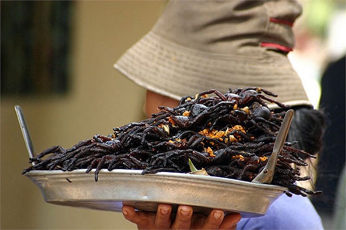 Món nhện nhiệt đới rán kỹ này đã nhận được rất nhiều sự khen ngợi của các nhà phê bình ẩm thực phương tây. 