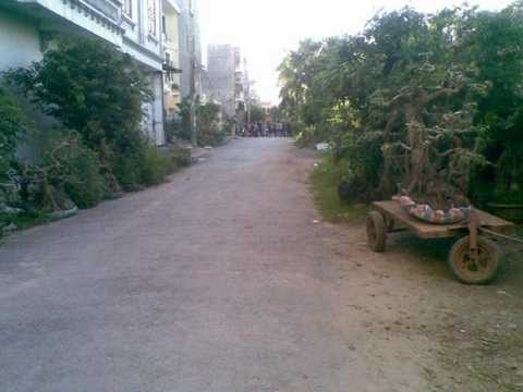 chó cắn, nát mặt, cảnh báo, chó ngộ, chó dại, nuôi chó dữ, hải phòng