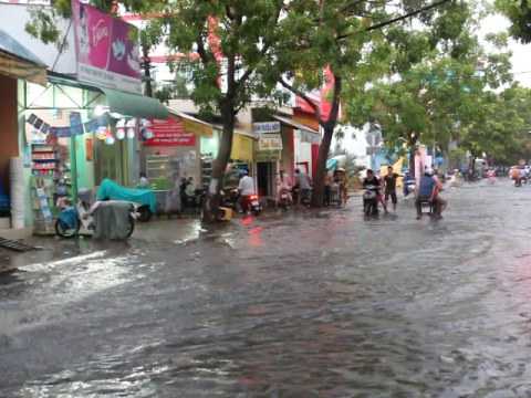 TP.HCM, mưa lớn, lốc, giớ, cây xanh bật góc, tốc máy