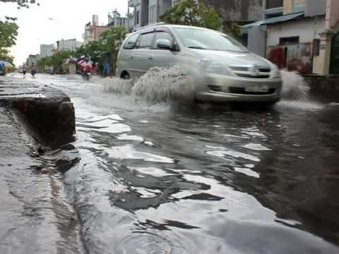 TP.HCM, mưa lớn, lốc, giớ, cây xanh bật góc, tốc máy