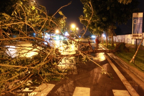 TP.HCM, mưa lớn, lốc, giớ, cây xanh bật góc, tốc máy