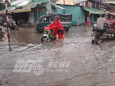 ngập nước, triều cường, lũ, mưa bão