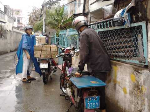 ngập nước, triều cường, lũ, mưa bão