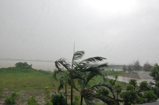 Ninh Bình, bão số 6, sơ tán, tàu thuyền, biển, gió giật mạng, thủy sản