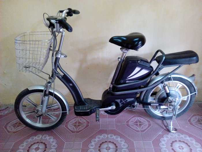 Mua xe đạp điện, bạn có thể 'ăn thịt lừa'