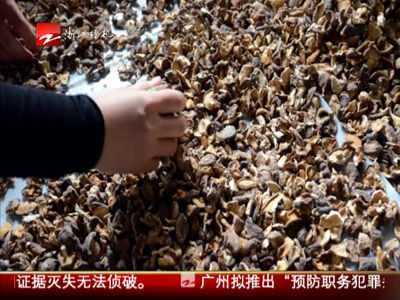 Cơ quan chức năng kiểm tra nơi sản xuất nấm cung cấp cho canteen