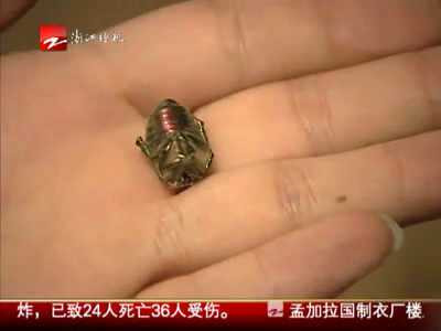 Không phát hiện chuột nhưng lại có côn trùng chết trong nấm khô