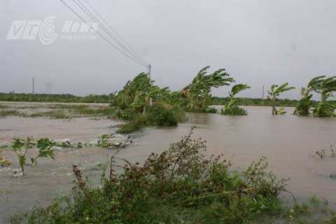 Bão số 2, Hải Phòng, Đồ Sơn, Tiên Lãng, sát lở, nước tràn bờ NSST