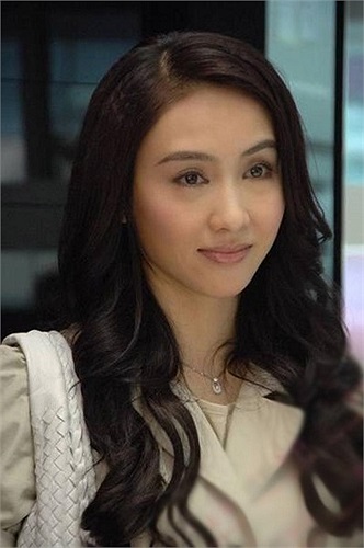 Năm 2008, khi sự nghiệp đang lên cao, Lê Tư tuyên bố giải nghệ.